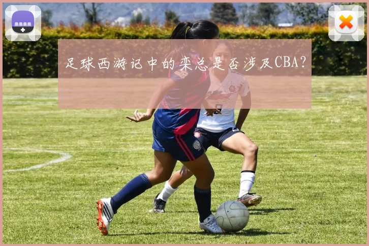 足球西游记中的栾总是否涉及CBA？