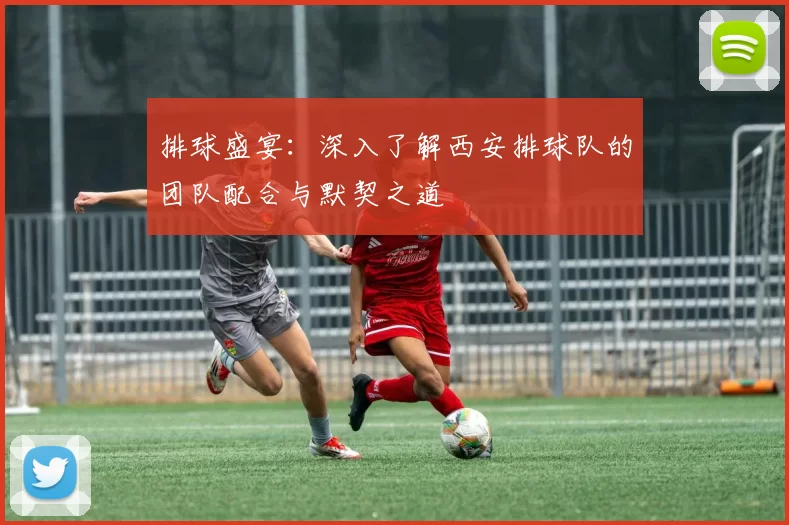 排球盛宴：深入了解西安排球队的团队配合与默契之道