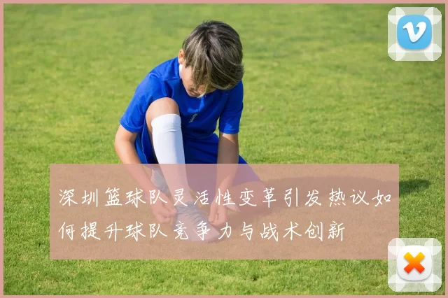 深圳篮球队灵活性变革引发热议如何提升球队竞争力与战术创新