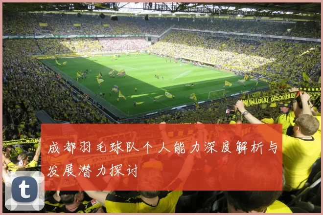 成都羽毛球队个人能力深度解析与发展潜力探讨