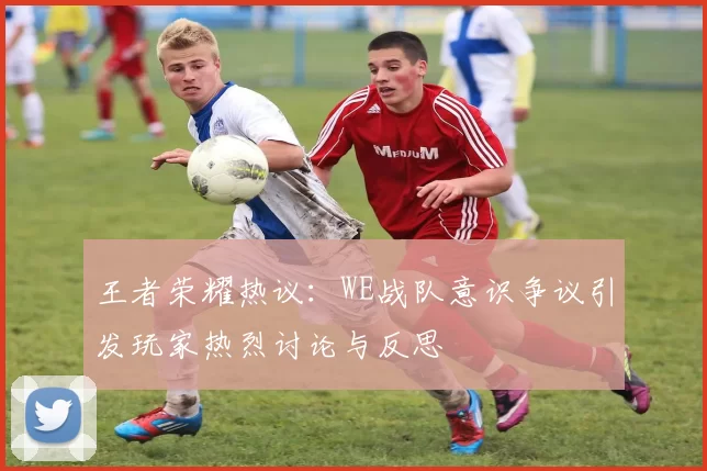 王者荣耀热议：WE战队意识争议引发玩家热烈讨论与反思