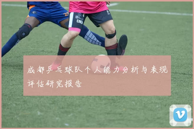 成都乒乓球队个人能力分析与表现评估研究报告