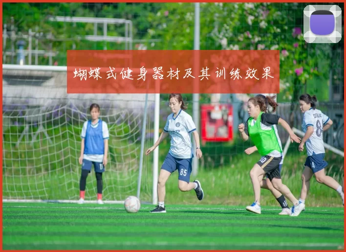 蝴蝶式健身器材及其训练效果