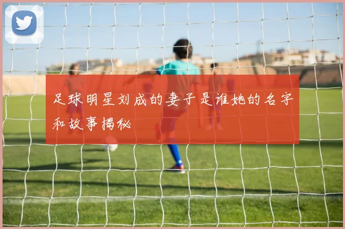 足球明星刘成的妻子是谁她的名字和故事揭秘