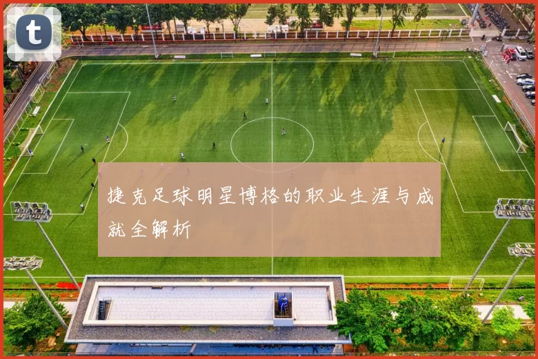 捷克足球明星博格的职业生涯与成就全解析