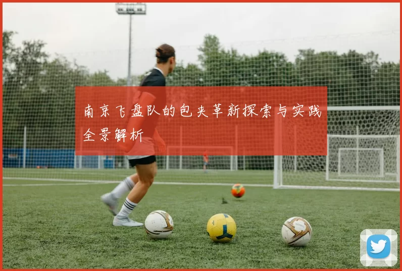 南京飞盘队的包夹革新探索与实践全景解析