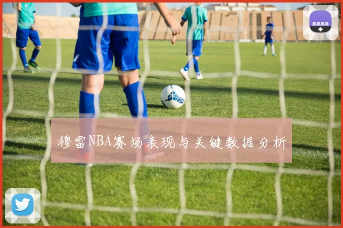 穆雷NBA赛场表现与关键数据分析