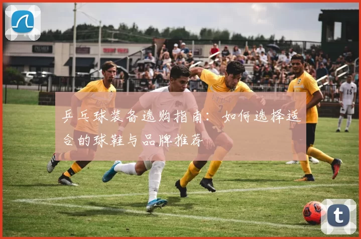 乒乓球装备选购指南：如何选择适合的球鞋与品牌推荐
