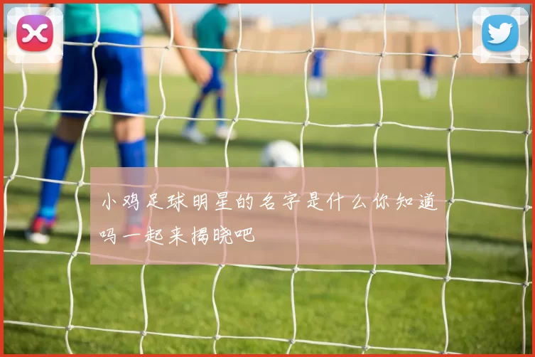 小鸡足球明星的名字是什么你知道吗一起来揭晓吧
