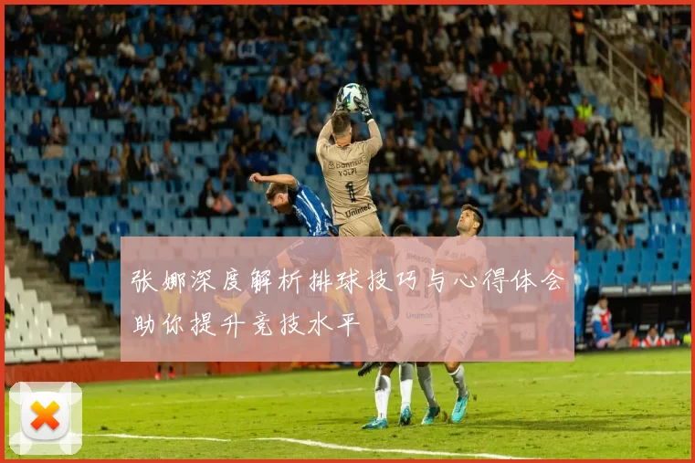 张娜深度解析排球技巧与心得体会助你提升竞技水平