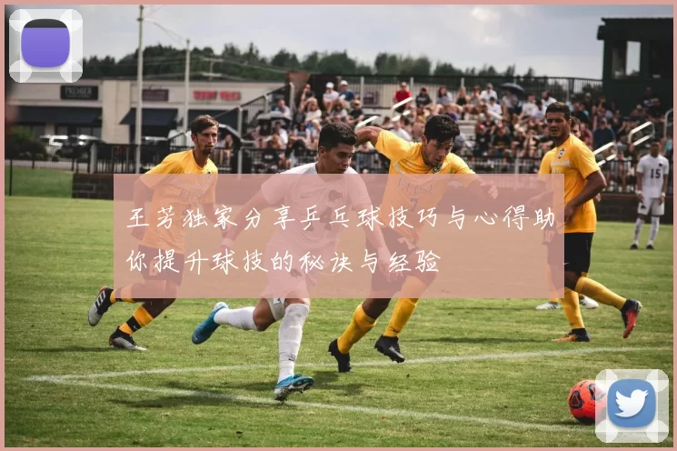 王芳独家分享乒乓球技巧与心得助你提升球技的秘诀与经验
