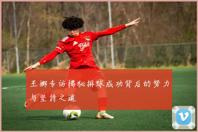 王娜专访揭秘排球成功背后的努力与坚持之道